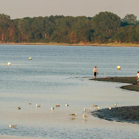 Dom wakacyjny Duenenpark 2d - Dorf 4 Priwall