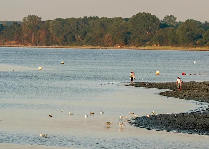 Casa vacanze Duenenpark 2d - Dorf 4 Priwall